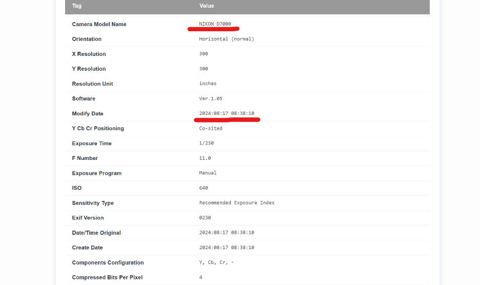 EXIF metadata tags extracted from a photo: camera model, exposure, ISO, date and resolution