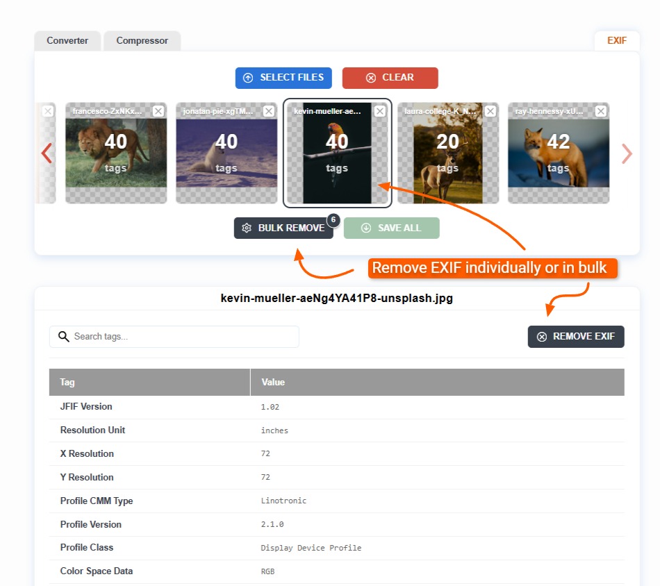 Removing EXIF data from an image using ExifViewer.com