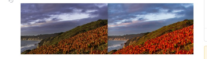 Image damage caused by stripping all EXIF data including essential color space tags